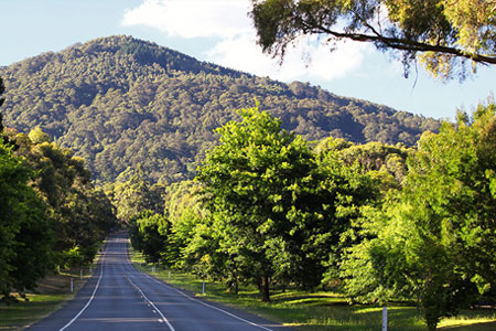 Mount Macedon (VIC) 3441