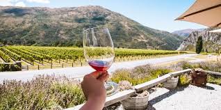 Custom Winery Tour Transfers from Chelsea