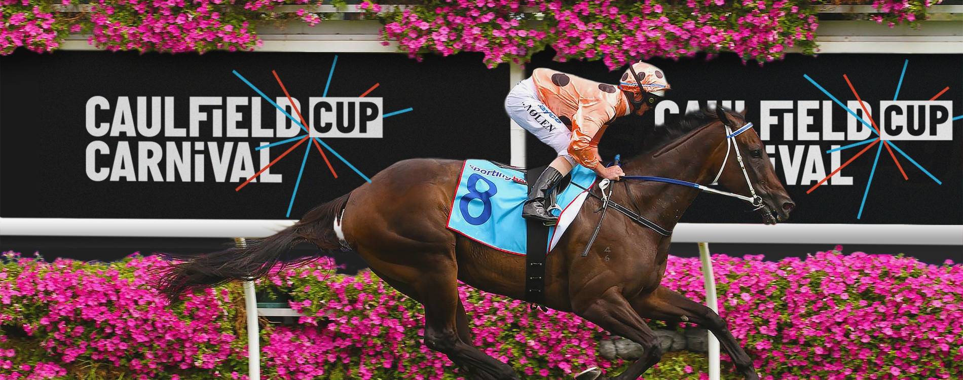 Stylish crowd trackside at Caulfield Cup Day, Caulfield Racecourse